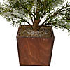 Northlight 28" Potted Frosted Pine Artificial Christmas Tree - Unlit Image 2
