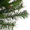 Northlight 3' Black River Pine Artificial Medium Profile Christmas Tree  Unlit Image 3