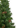 Northlight 3' Medium Black River Pine Artificial Christmas Tree - Unlit Image 1