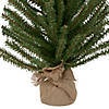 Northlight 3' Medium Scottsdale Pine Artificial Christmas Tree in Burlap Base - Unlit Image 2