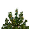 Northlight 3' Pre-Lit Full Canadian Pine Artificial Christmas Tree - Clear Lights Image 3
