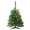 Northlight 3' Pre-Lit Green Medium Canadian Pine Artificial Christmas Tree - Clear and White LED Lights Image 1