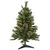 Northlight 3' Pre-Lit Kingston Cashmere Pine Full Artificial Christmas Tree  Multi Lights Image 1