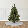 Northlight 3' Pre-Lit Kingston Cashmere Pine Full Artificial Christmas Tree  Multi Lights Image 1