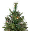 Northlight 3' Pre-Lit Kingston Cashmere Pine Full Artificial Christmas Tree  Multi Lights Image 3