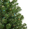 Northlight 3' Pre-Lit Medium Canadian Pine Artificial Christmas Tree  Multicolor Lights Image 2