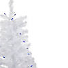 Northlight 3' Pre-Lit Woodbury White Pine Slim Artificial Christmas Tree  Blue Lights Image 2