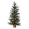 Northlight 3' Warsaw Two-Tone Twig Artificial Christmas Tree - Unlit Image 1