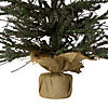 Northlight 3' Warsaw Two-Tone Twig Artificial Christmas Tree - Unlit Image 4