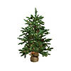 Northlight 3' x 26" Pre-Lit Viella Norway Spruce Artificial Christmas Tree - Clear Lights Image 1