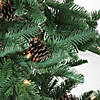 Northlight 3' x 26" Pre-Lit Viella Norway Spruce Artificial Christmas Tree - Clear Lights Image 1