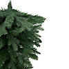 Northlight 30" Mixed Eden Pine Artificial Christmas Teardrop Swag - Unlit Image 1
