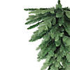 Northlight 30" Mixed Eden Pine Artificial Christmas Teardrop Swag - Unlit Image 3