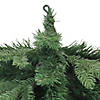 Northlight 30" Mixed Eden Pine Artificial Christmas Teardrop Swag - Unlit Image 4