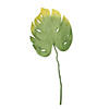 Northlight 31.5" Green Two-Tone Artificial Split-Leaf Tropical Philodendron Spray Image 1