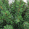 Northlight 32" Canadian Pine Artificial Christmas Door Swag - Unlit Image 1