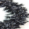 Northlight 36" Battery Operated Black Bristle Artificial Christmas Wreath  Warm White LED Lights Image 2