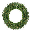 Northlight 36" Pre-Lit Canadian Pine Artificial Christmas Wreath - Multi Lights Image 1