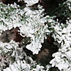 Northlight 4.5' Heavily Flocked Pine Medium Artificial Christmas Tree - Unlit Image 1