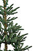 Northlight 4.5' Pre-Lit LED Layered Nordmann Fir Artificial Christmas Tree  Warm Clear Lights Image 2