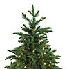 Northlight 4.5' Pre-Lit Potted Sierra Norway Spruce Slim Artificial Christmas Tree - Clear Lights Image 1