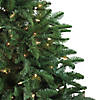 Northlight 4.5' Pre-Lit Potted Sierra Norway Spruce Slim Artificial Christmas Tree - Clear Lights Image 2