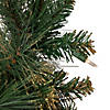 Northlight 4.5' Pre-Lit Yorkshire Pine Pencil Artificial Christmas Tree  Clear Lights Image 2