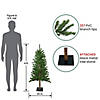 Northlight 4' Alpine Artificial Christmas Tree - Unlit Image 1