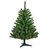Northlight 4' Colorado Spruce Full Artificial Christmas Tree  Unlit Image 1