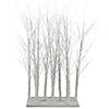 Northlight 4' LED Lighted White Birch Twig Tree Cluster Christmas Decoration Image 1