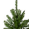 Northlight 4' Northern Pine Medium Artificial Christmas Tree  Unlit Image 2