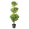 Northlight - 4' Potted Artificial Triple Ball Topiary Tree - Unlit Image 1