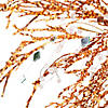 Northlight - 4' Potted Crystallized Glitter Full Artificial Tree - Unlit Image 3
