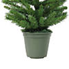 Northlight 4' Potted Norway Spruce Medium Artificial Christmas Tree - Unlit Image 2