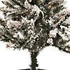 Northlight 4' Pre-Lit Flocked Pine Slim Artificial Christmas Tree  Clear Lights Image 3