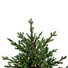 Northlight 4' Pre-Lit Potted Deluxe Russian Pine Artificial Christmas Tree  Warm White LED Lights Image 1