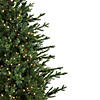Northlight 4' Pre-Lit Potted Deluxe Russian Pine Artificial Christmas Tree  Warm White LED Lights Image 3