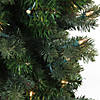 Northlight 4' Pre-Lit Slim Savannah Spruce Slim Artificial Christmas Tree - Clear Lights Image 1