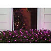 Northlight 4' x 6' Purple Incandescent Mini Net Style Christmas Lights - Green Wire Image 1