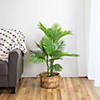 Northlight 40&quot; Artificial Green Mini Palm Tree in Black Pot Image 1