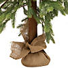Northlight 47" Pine Tree with Jute Base Christmas Decoration Image 4