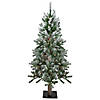 Northlight 4ft Pre-Lit Flocked Alpine Artificial Christmas Tree  Clear Lights Image 1