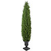 Northlight 5' Artificial Cedar Pine Arborvitae Tree in Urn Style Pot Unlit Image 4