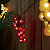 Northlight 5-Count Red and Green Grape Cluster String Light Set  8ft Brown Wire Image 1