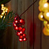 Northlight 5-Count Red and Green Grape Cluster String Light Set  8ft Brown Wire Image 2