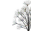 Northlight 5' LED Lighted Christmas Fireworks Tree  Multi-Color Lights Image 1