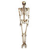 Northlight 5' Life Size Skeleton Halloween Decoration Image 1