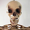 Northlight 5' Life Size Skeleton Halloween Decoration Image 1