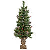 Northlight 5-Piece Pre-Lit Frosted Verona Berry Pine Artificial Christmas Entryway Set Image 2
