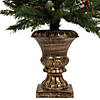 Northlight 5-Piece Pre-Lit Frosted Verona Berry Pine Artificial Christmas Entryway Set Image 4